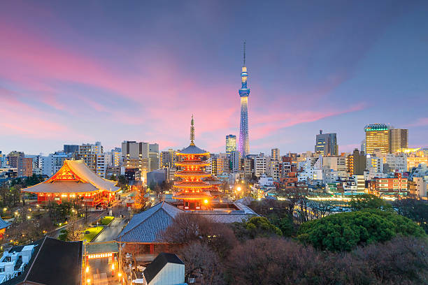 View of Tokyo skyline at sunset in Japan.
